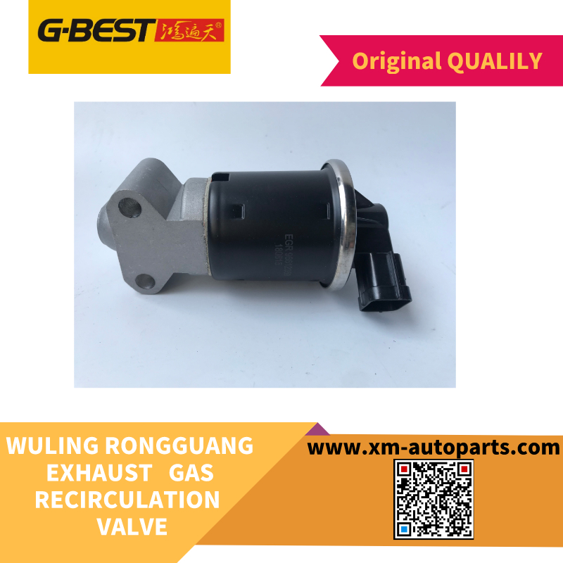 EXHAUST GAS RECIRCULATION VALVE